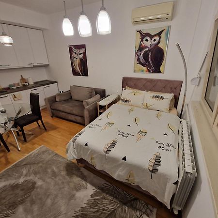 בלגרד Owl Apartment מראה חיצוני תמונה