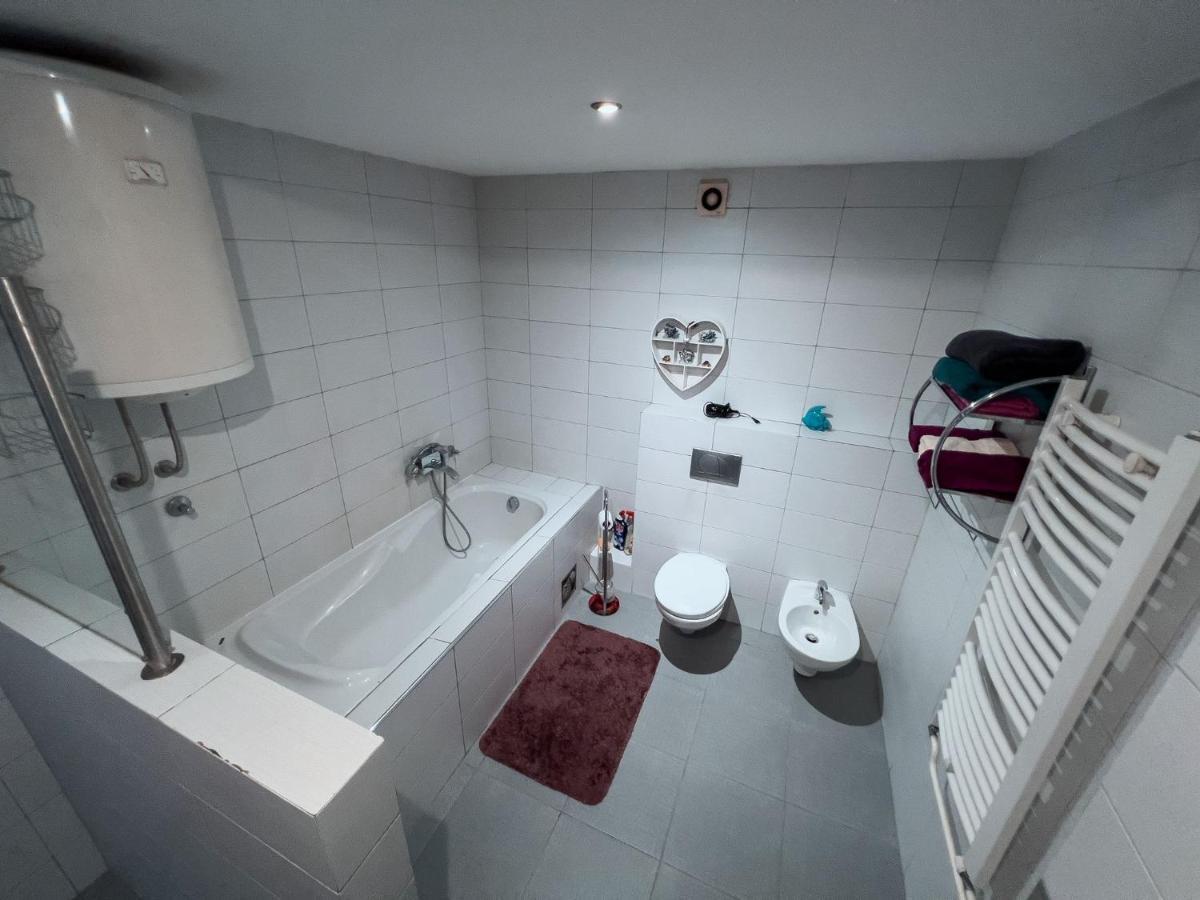 בלגרד Owl Apartment מראה חיצוני תמונה