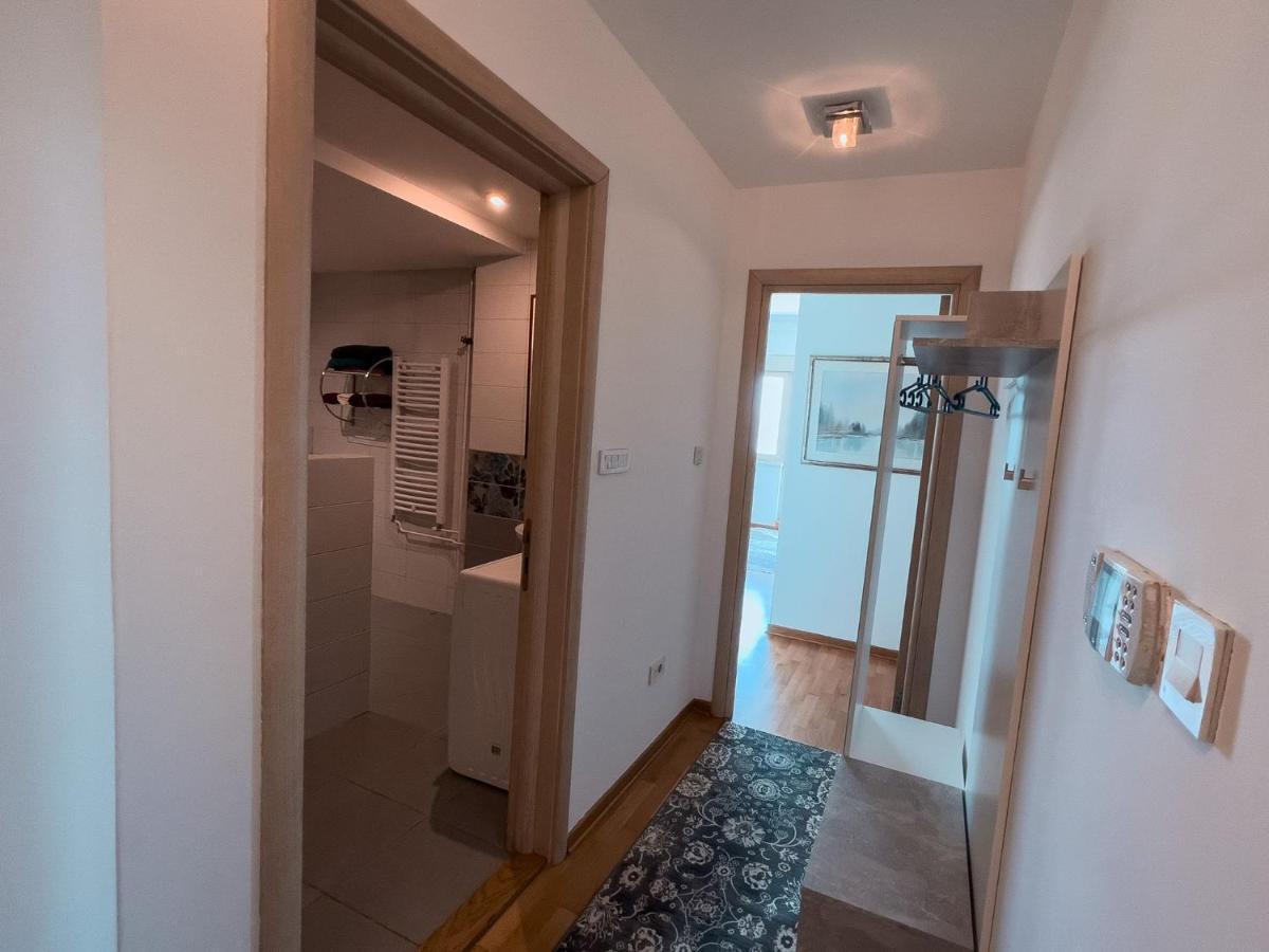 בלגרד Owl Apartment מראה חיצוני תמונה