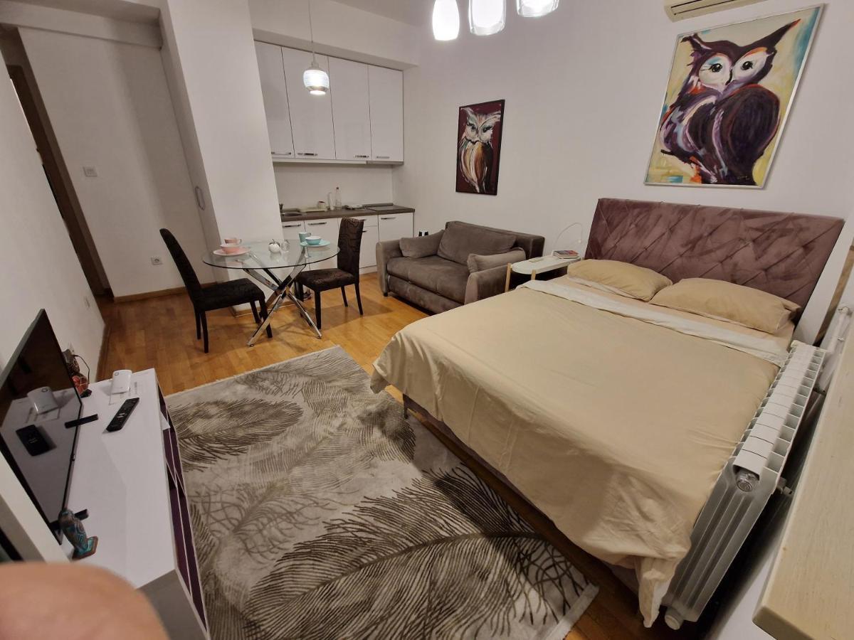 בלגרד Owl Apartment מראה חיצוני תמונה