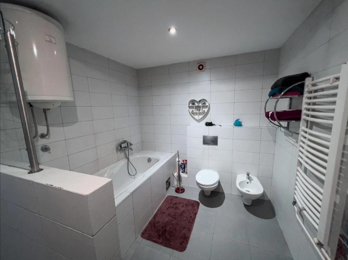 בלגרד Owl Apartment מראה חיצוני תמונה